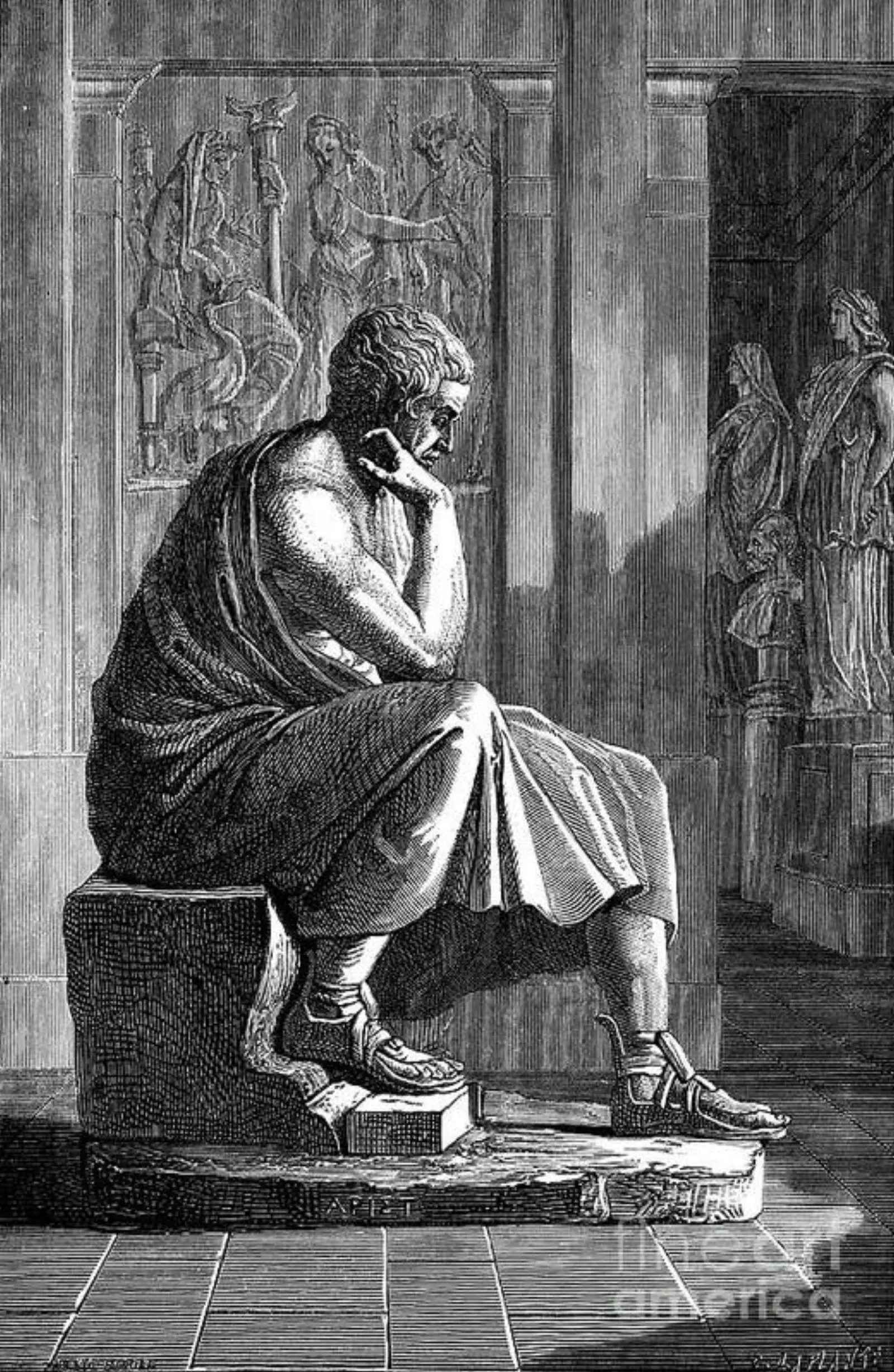 Aristotle in contemplation
